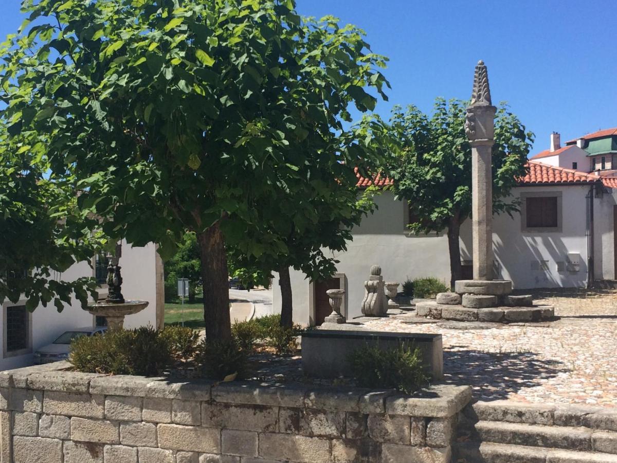 Вілла Douro House Карразе́да-де-Ансіа́йнш Екстер'єр фото